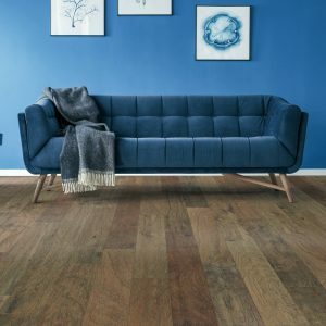 Blue colorwall | Fredericks Floor covering