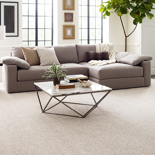 Carpet | Fredericks Floor covering