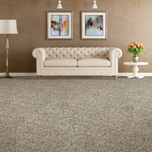 Soft comfortable carpet | Fredericks Floor covering