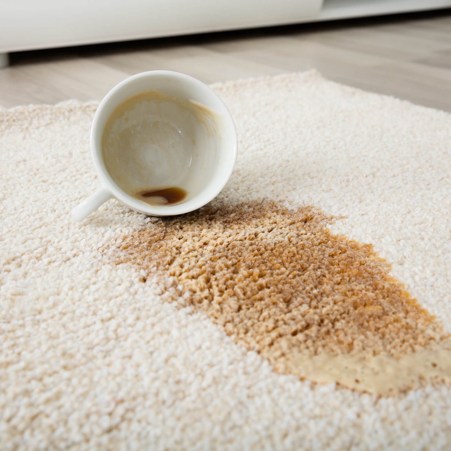 Carpet cleaning | Fredericks Floor covering