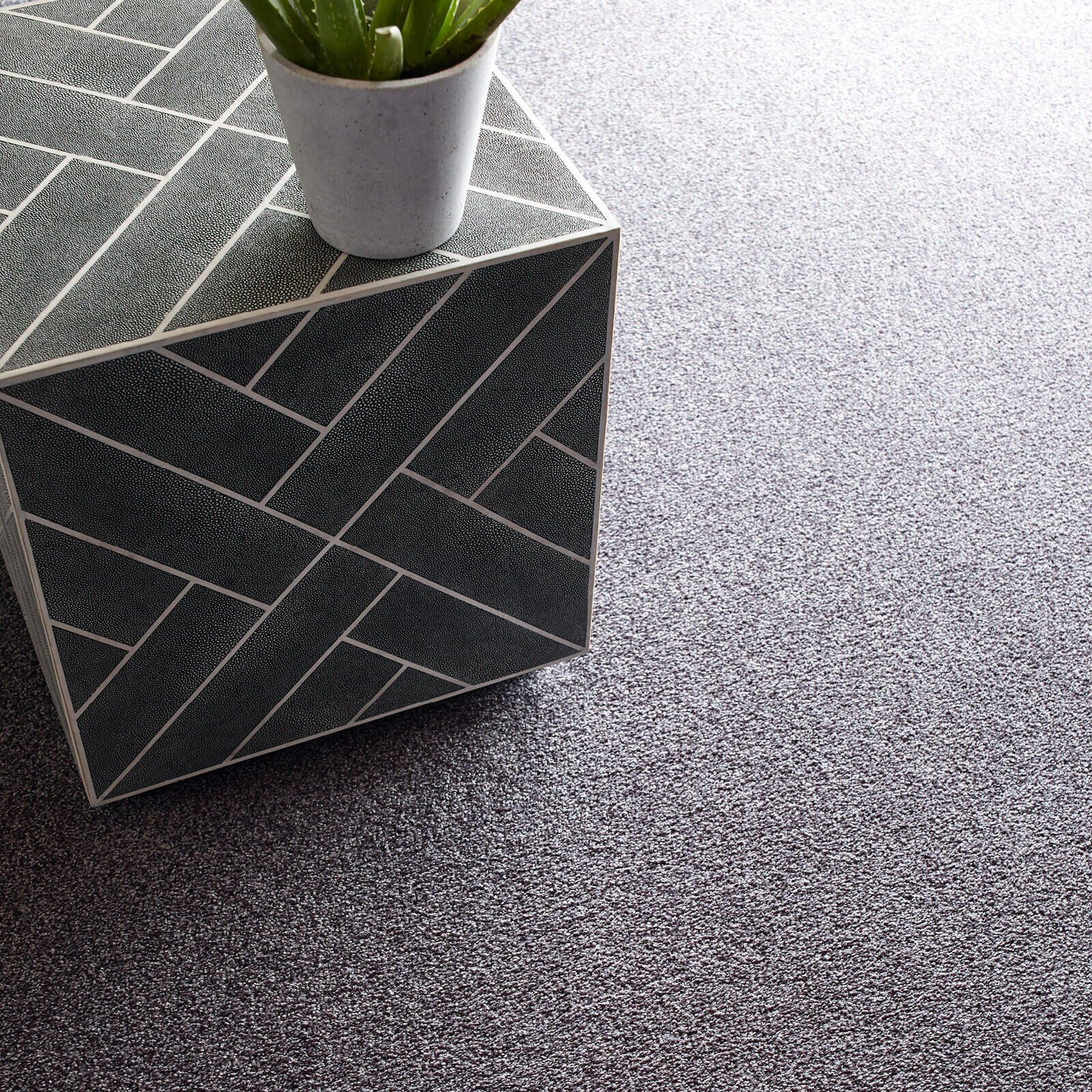 Grey Carpet flooring | Fredericks Floor covering