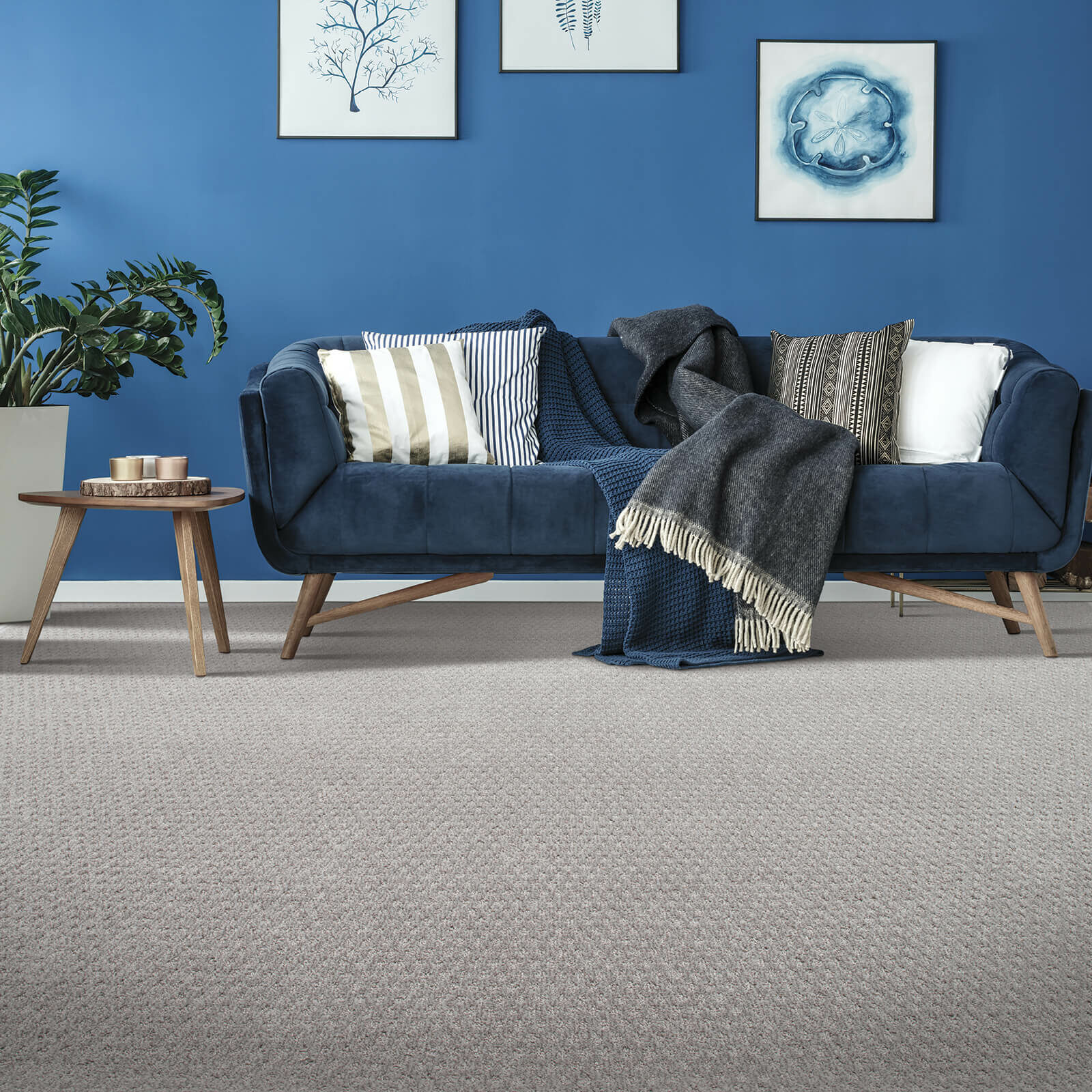 Blue colorwall | Fredericks Floor covering